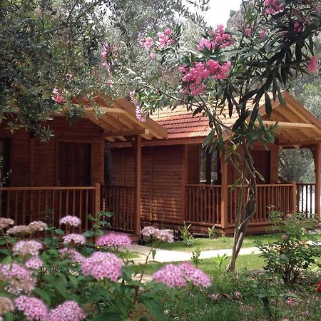 Kidrak Otel Montenegro-1 Faralya Zewnętrze zdjęcie