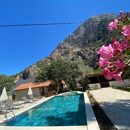 Kidrak Otel Montenegro-1 Faralya Zewnętrze zdjęcie